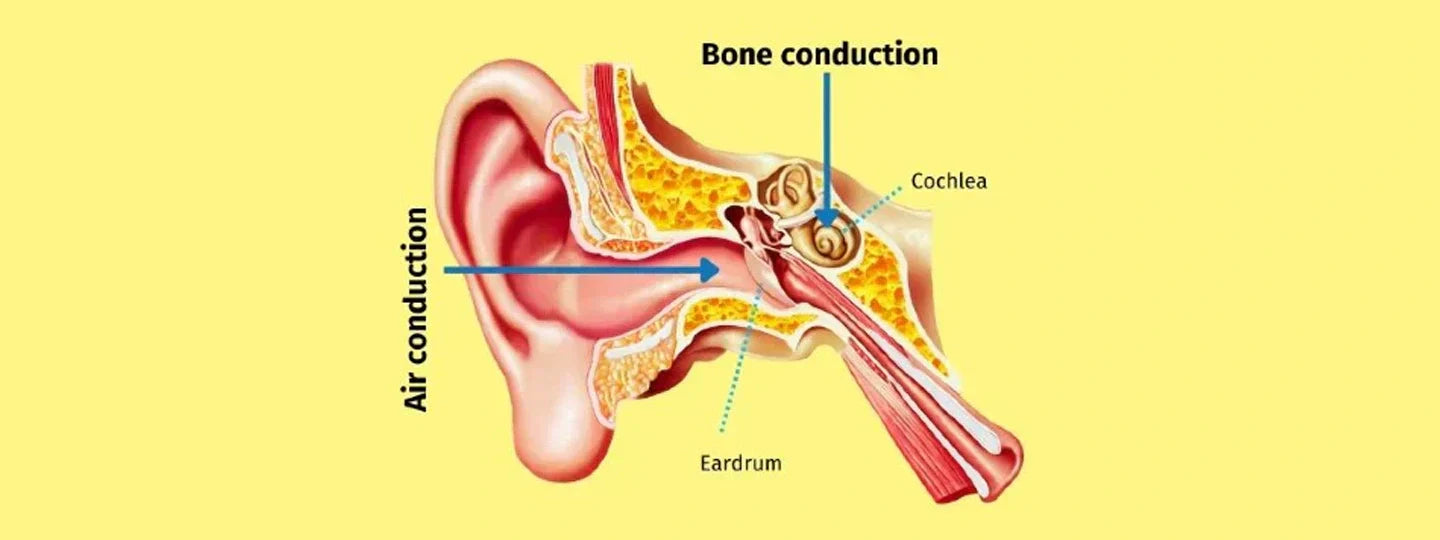 Synergy of Bone Conduction Technology